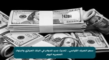 سعر الصرف القياسي.. تحديث جديد للدولار في البنك المركزي والبنوك المصرية اليوم